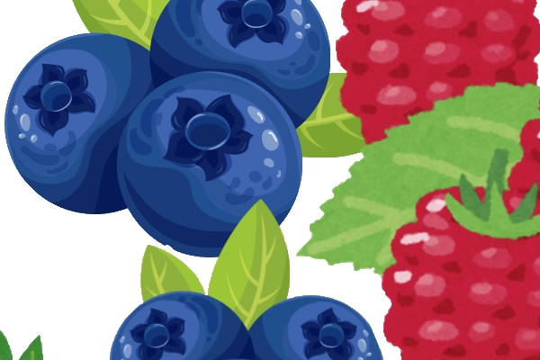 Es sind Himbeeren und Blaubeeren zusehen
